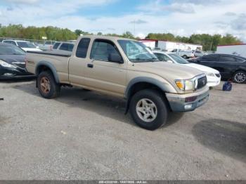  Salvage Toyota Tacoma
