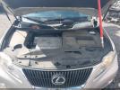 Lexus RX Image 9