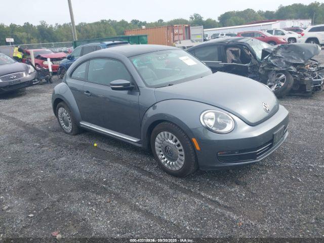  Salvage Volkswagen Beetle