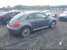 Volkswagen Beetle Image 3