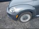 Volkswagen Beetle Image 11