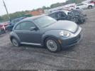 Volkswagen Beetle Image 13