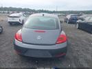 Volkswagen Beetle Image 14