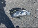 Honda Civic Ex-t Image 12