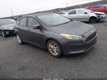  Salvage Ford Focus