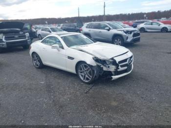  Salvage Mercedes-Benz Slk-class