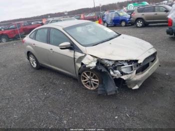  Salvage Ford Focus