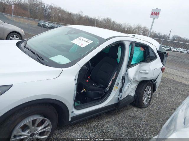 Ford Escape Active Image 3