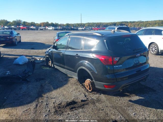 Ford Escape Sel Image 14