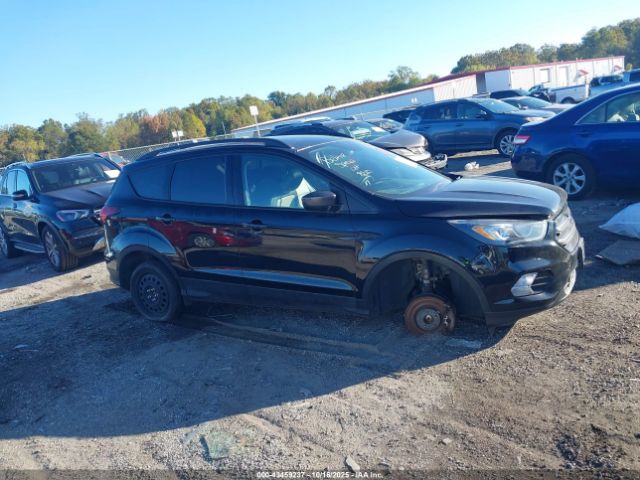 Ford Escape Sel Image 9