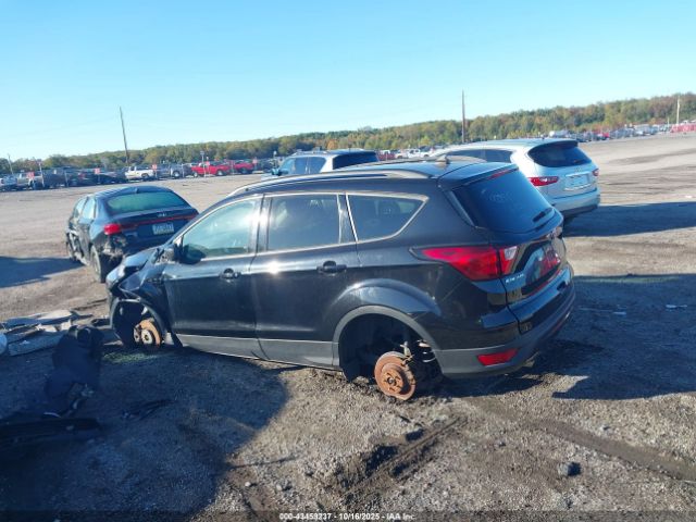 Ford Escape Sel Image 7