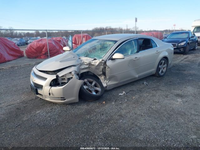 Chevrolet Malibu 1lt Image 8