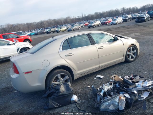 Chevrolet Malibu 1lt Image 2