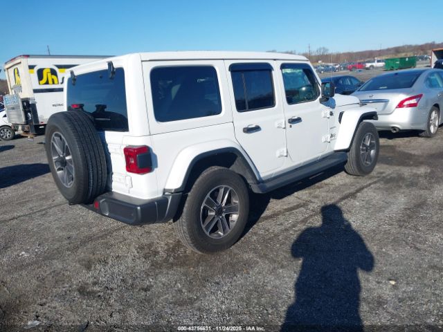 Jeep Wrangler 4-door Sahara 4x4 Image 3
