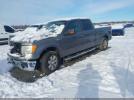 Ford F-150 Xlt Image 16