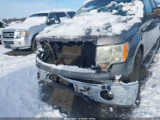 Ford F-150 Xlt Image 5