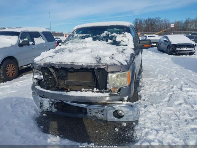 Ford F-150 Xlt Image 10