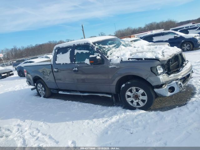 Ford F-150 Xlt Image 3