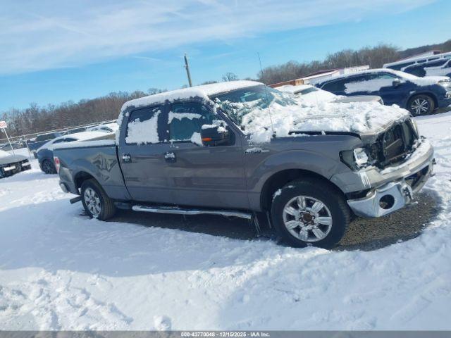 Ford F-150 Xlt Image 3