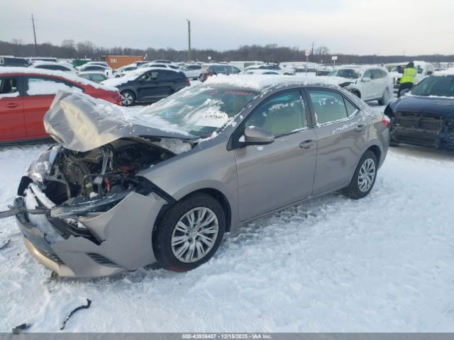 Toyota Corolla Le Image 12