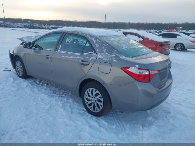 Toyota Corolla Le Image 2