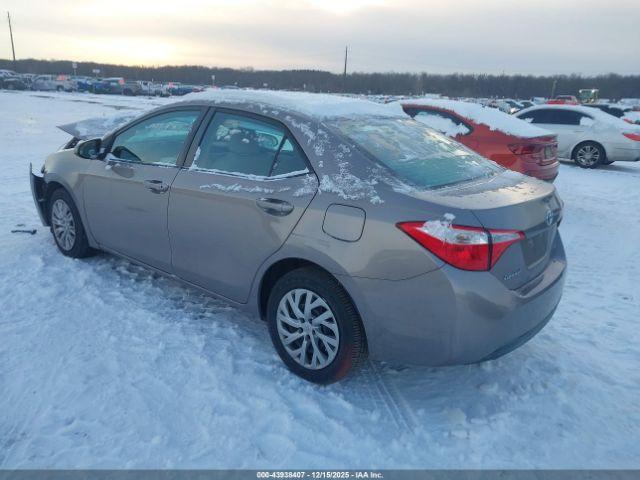 Toyota Corolla Le Image 2