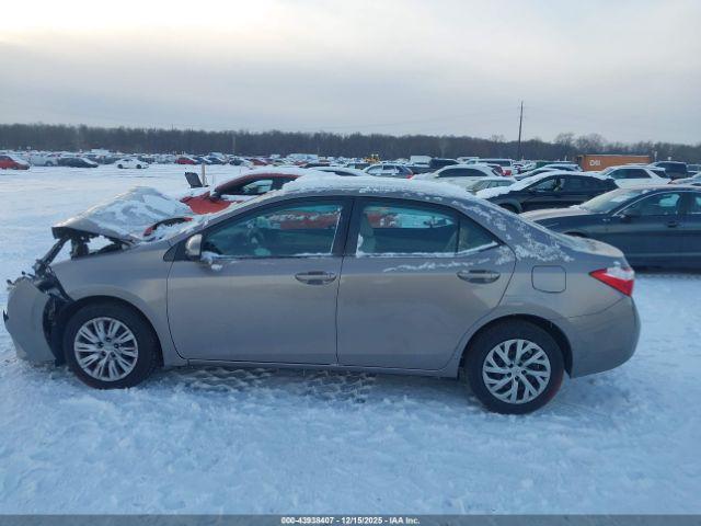 Toyota Corolla Le Image 9