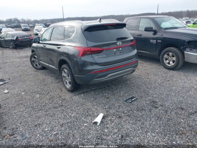 Hyundai SANTA FE Sel Image 6