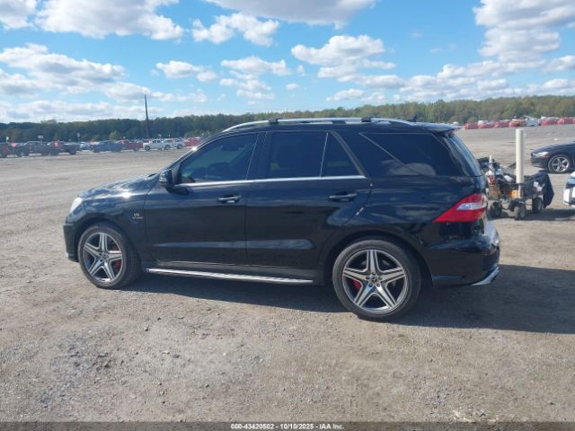 Mercedes-Benz M-Class 4matic Image 7