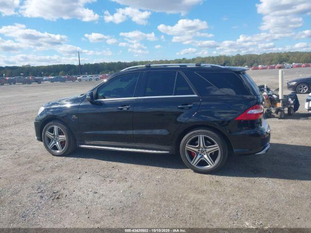 Mercedes-Benz M-Class 4matic Image 7