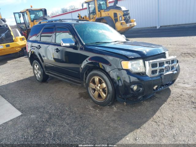 Ford Escape Limited Image 1