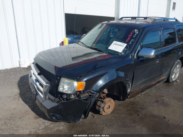 Ford Escape Limited Image 5