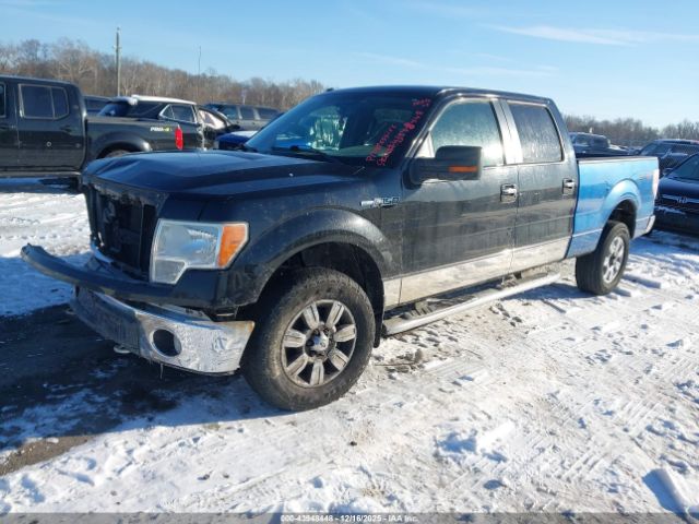 Ford F-150 Xlt Image 4