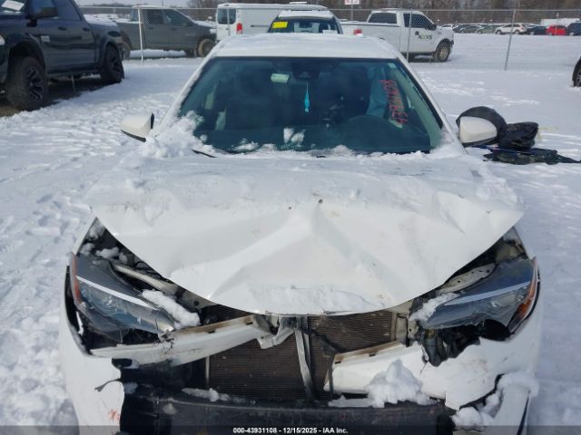 Toyota Corolla Le Image 10