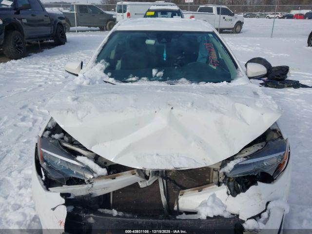 Toyota Corolla Le Image 10