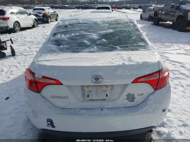 Toyota Corolla Le Image 12