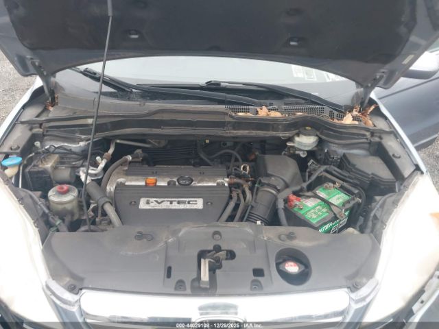 Honda CR-V Ex-l Image 6