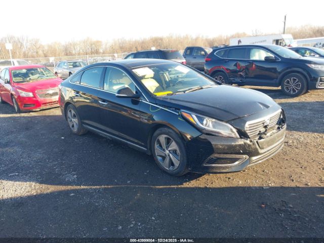 Hyundai SONATA Limited Image 1