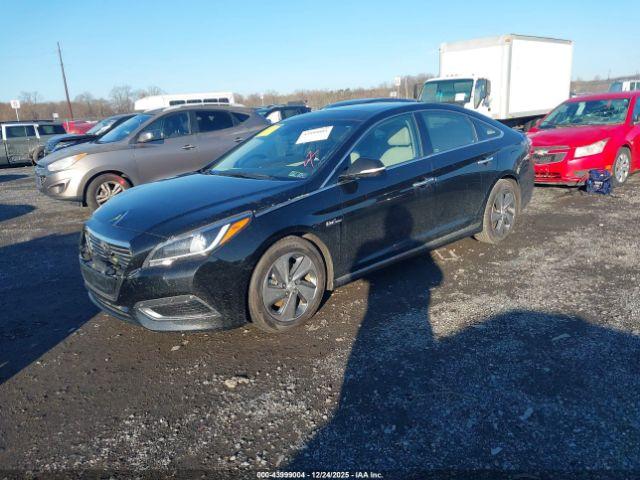 Hyundai SONATA Limited Image 7