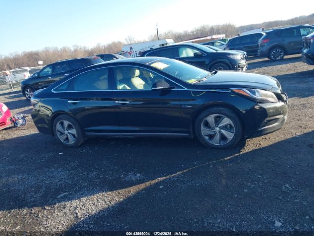 Hyundai SONATA Limited Image 6