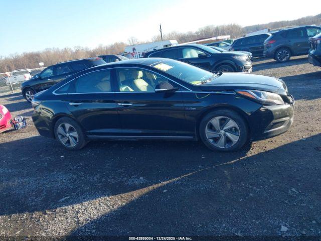 Hyundai SONATA Limited Image 6