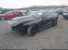 Ford Mustang V6 Image 16
