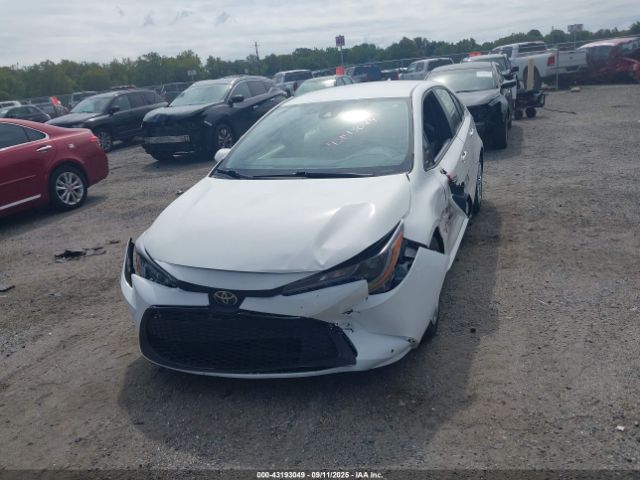 Toyota Corolla Le Image 8