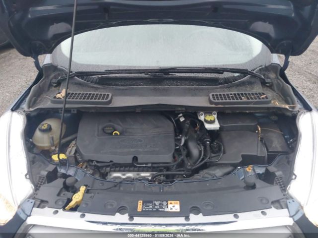 Ford Escape Se Image 7